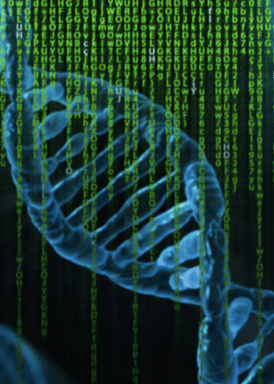 Creatively integrating statistical human genetics and bioinformatics to elucidate  disease mechanisms and facilitate new therapeutics