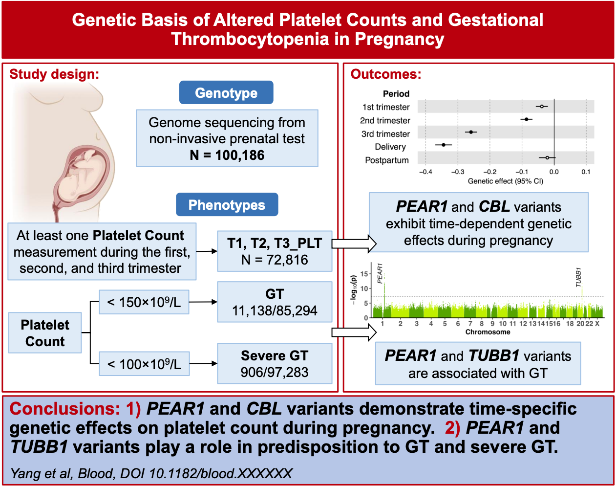 genetic-basis-of-altered-platelet-counts-and-gestational